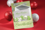 A Brookhollow catalog with a red ornament background.